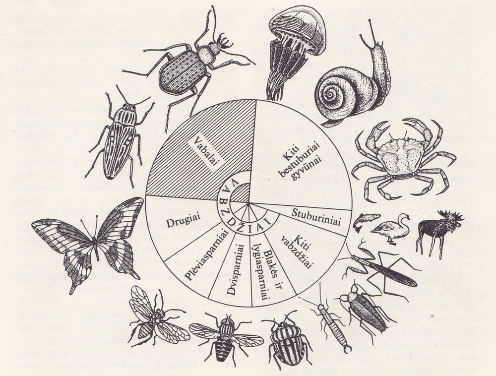 Vabzdžių ir kitų gyvūnų santykinis pasiskirstymas 